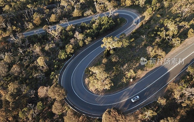 森林中蜿蜒道路