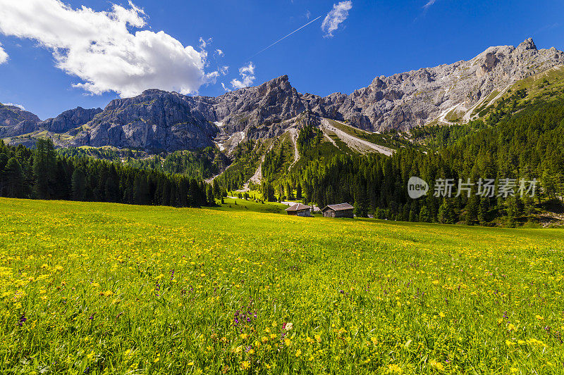 谷仓在田园诗般的阿尔卑斯风景-瓦尔迪富内斯，白云石阿尔卑斯-意大利