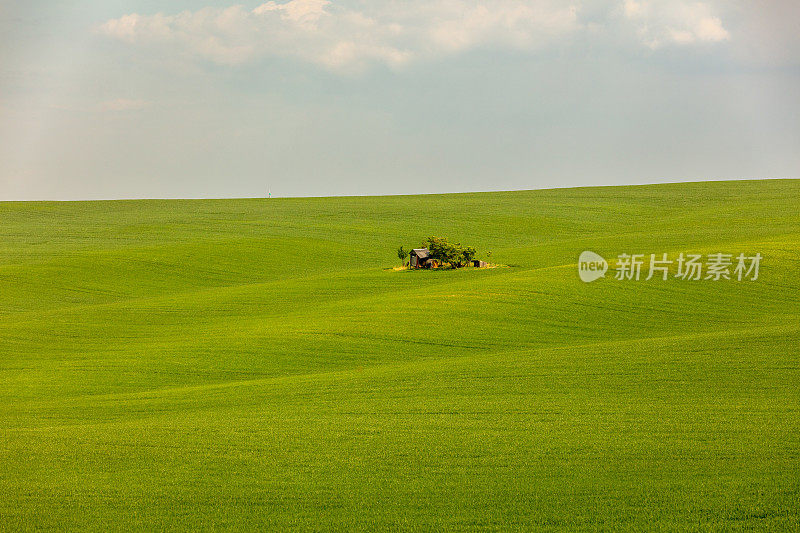 捷克共和国摩拉维亚绿地中的小屋