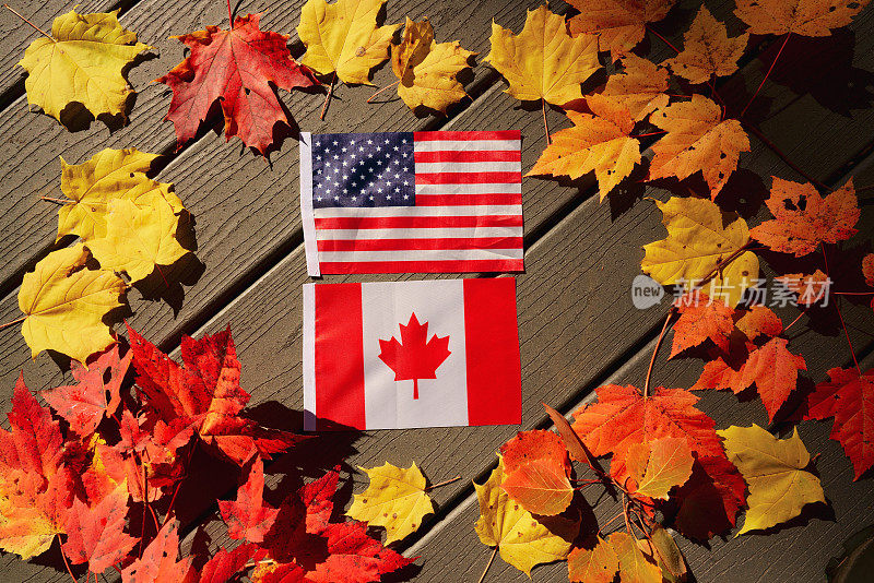 枫叶之间插着美国和加拿大的国旗