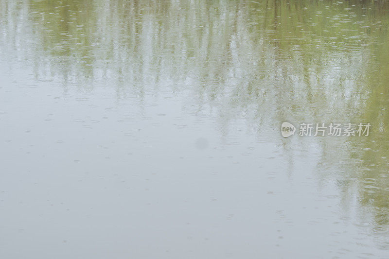 春雨洒满池塘