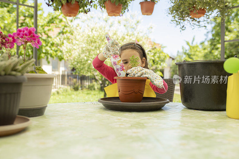 孩子在花盆里种花