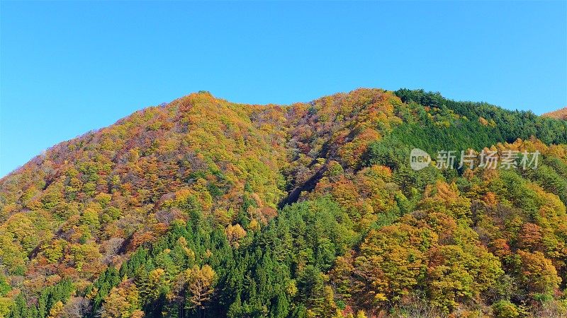 秋天的一座日本山