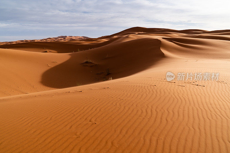 摩洛哥Merzouga沙漠的橙色沙丘和多云的天空。