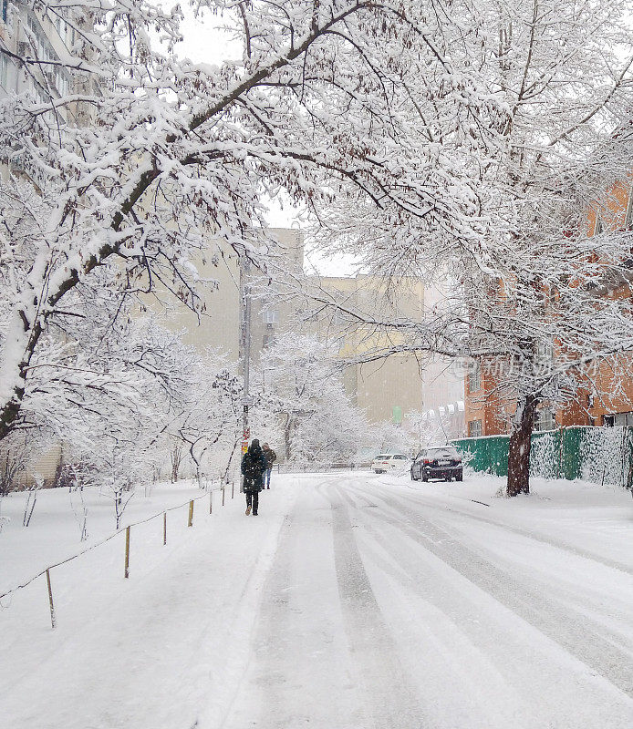 白雪覆盖的道路和树木。