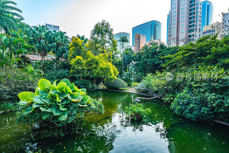 九龙公园位于香港市中心，四周都是高层写字楼