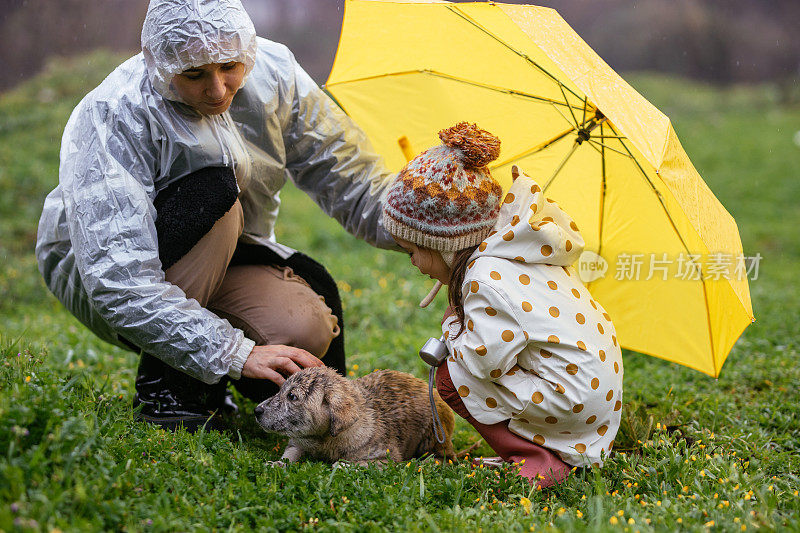 小女孩和妈妈在雨天给小狗雨伞