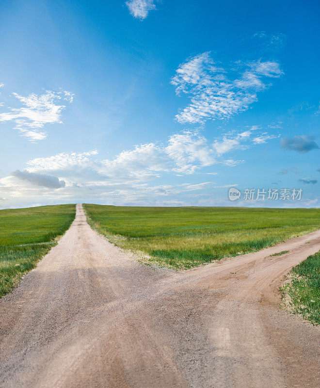 穿过绿色草地的岔路口