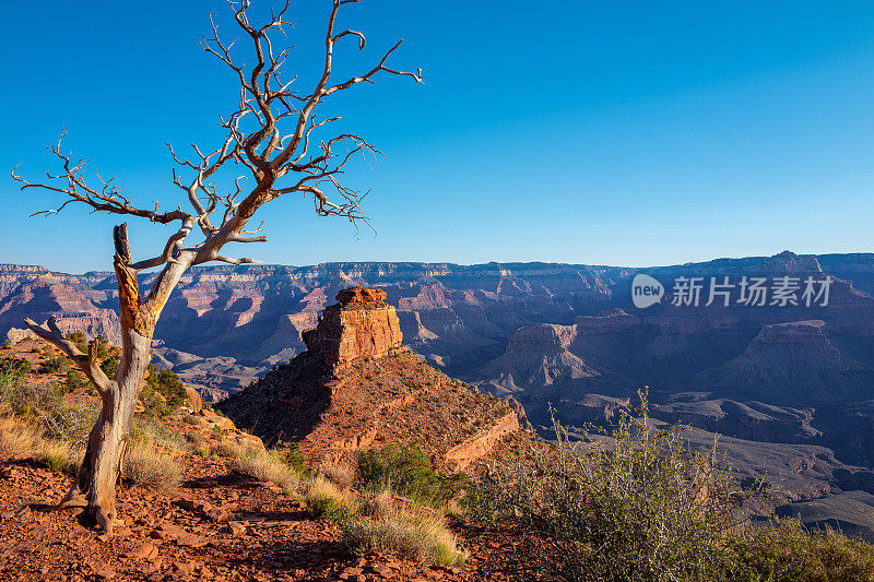 大峡谷南缘的风景