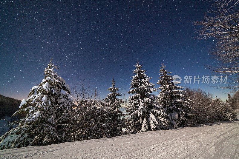 壮丽的星空笼罩着冬日的山景。夜景。月光下美丽的高大冷杉。喀尔巴阡山,乌克兰,欧洲。