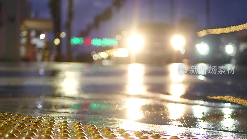 雨天道路上反射的灯光。棕榈树和降雨，加利福尼亚。