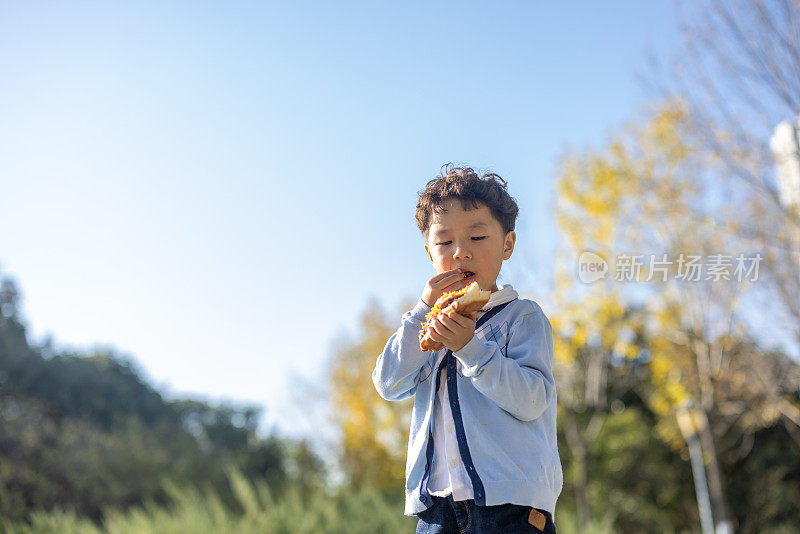 一个小男孩正在公园里吃面包