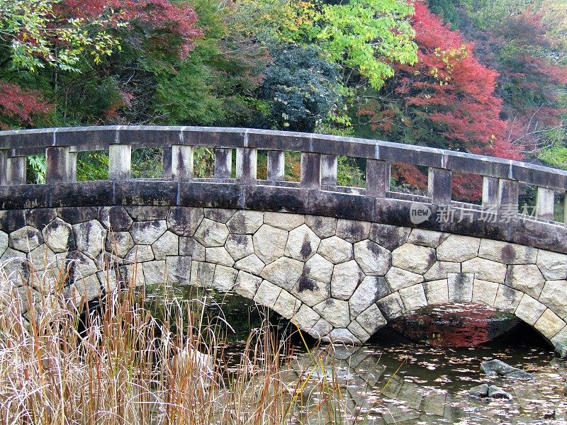日本。11月。公园里的人行天桥。