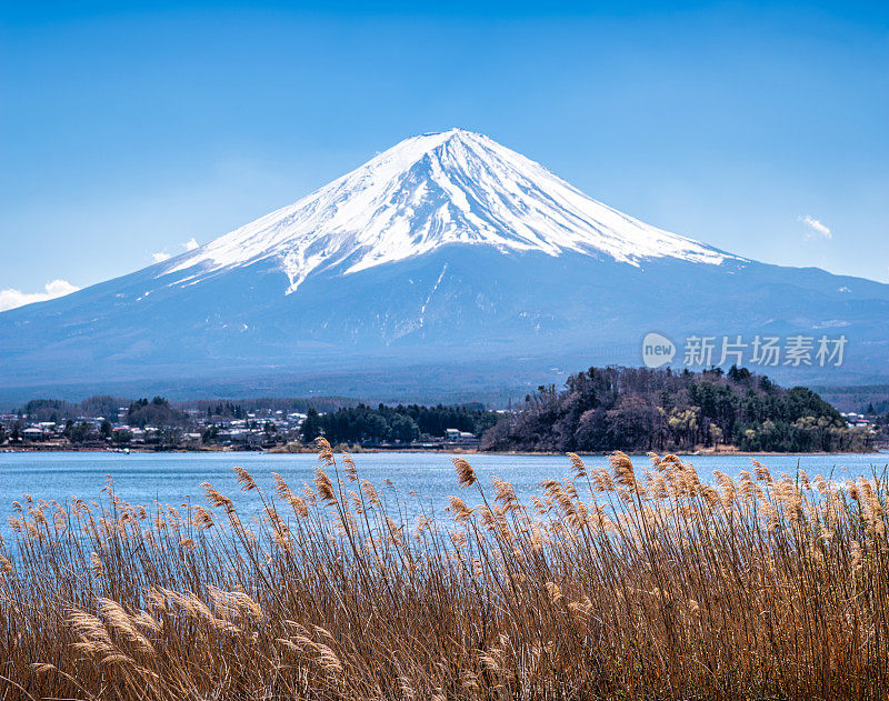 富士山从川口湖