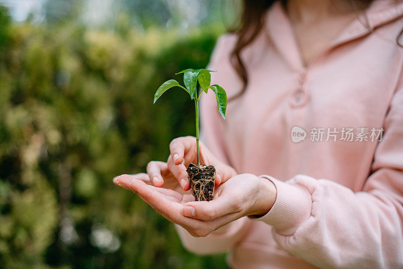 手里拿着秧苗的年轻女子