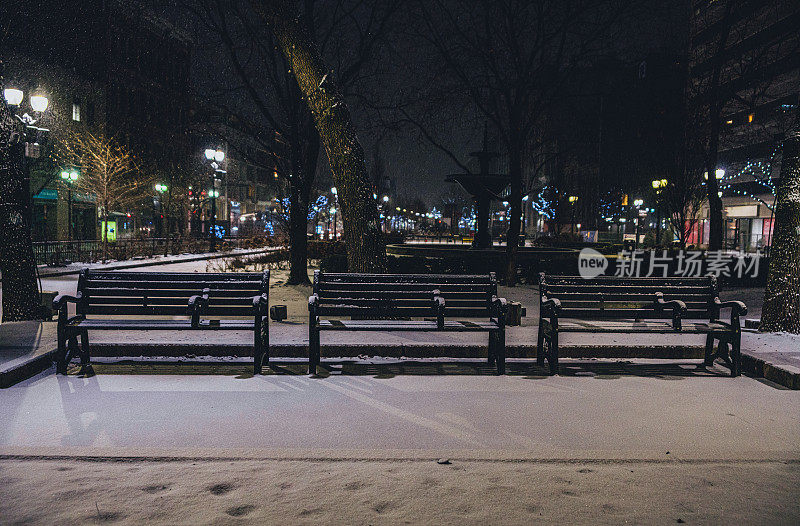 安大略汉密尔顿市——城市公园的长椅被雪覆盖