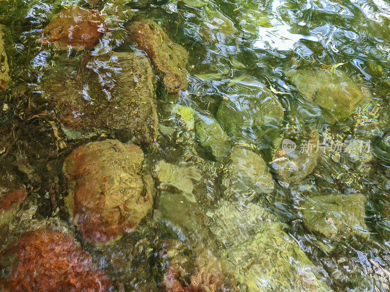 石头在寒冷的天然湖泊与绿色的水和树木-水下的波浪