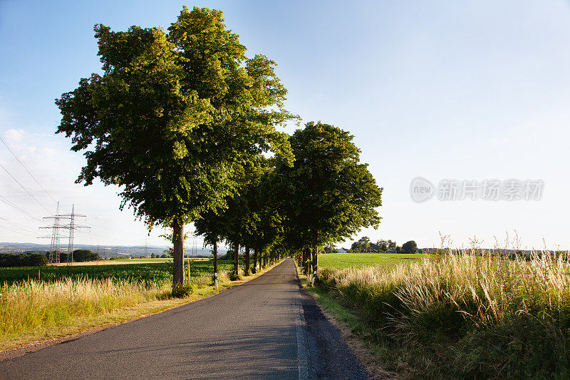 德国乡村的乡间小路，两旁绿树成荫