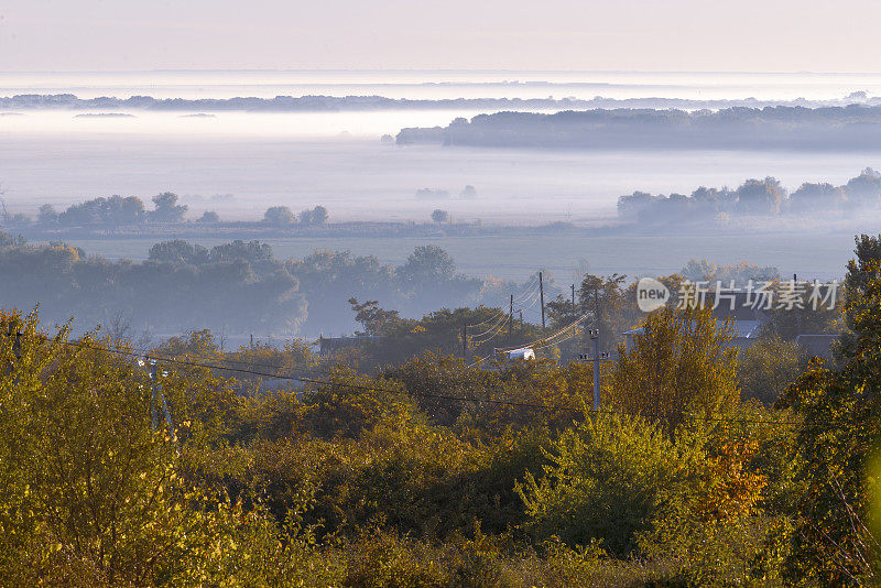 神秘的雾在秋天的山坡上，雾，树木都是湿的，潮湿的雾森林美丽的景观奥兰内斯特摩尔多瓦乡村全景清晨河德涅斯特。