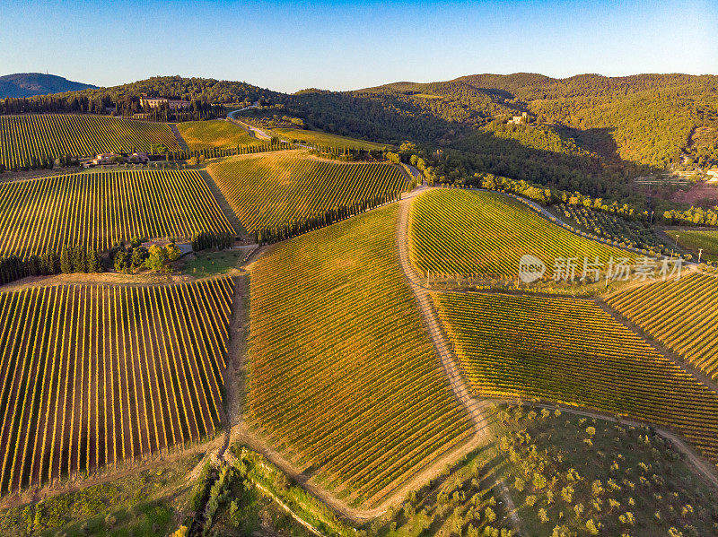 葡萄园景观在托斯卡纳，基安蒂地区