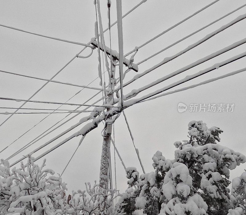 电线上积满了雪