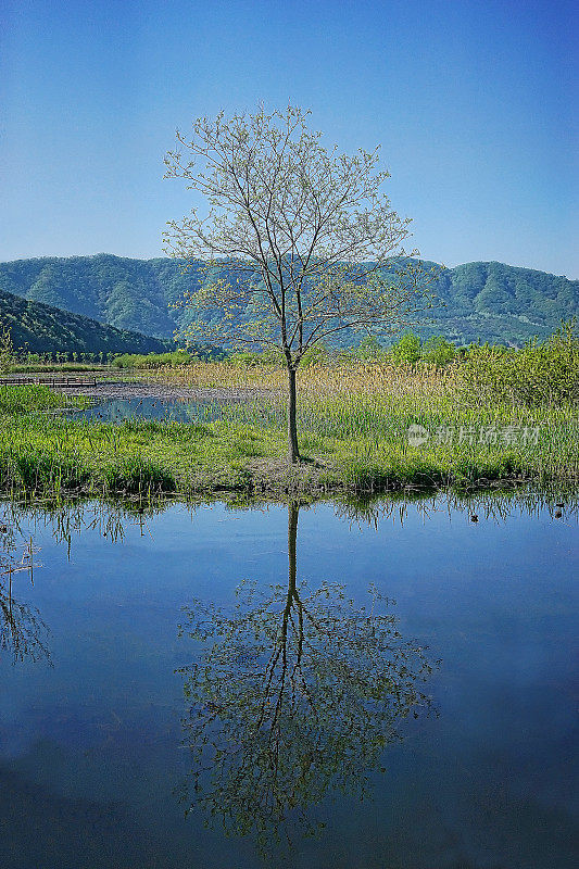 湖边的风景