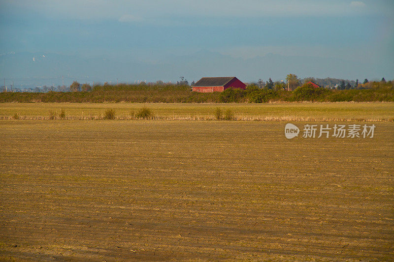 IMG_3651光秃秃的田野和红色的谷仓