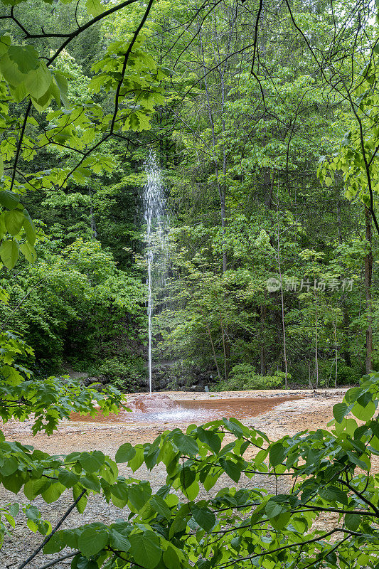 萨拉托加温泉州立公园的间歇泉岛喷水器