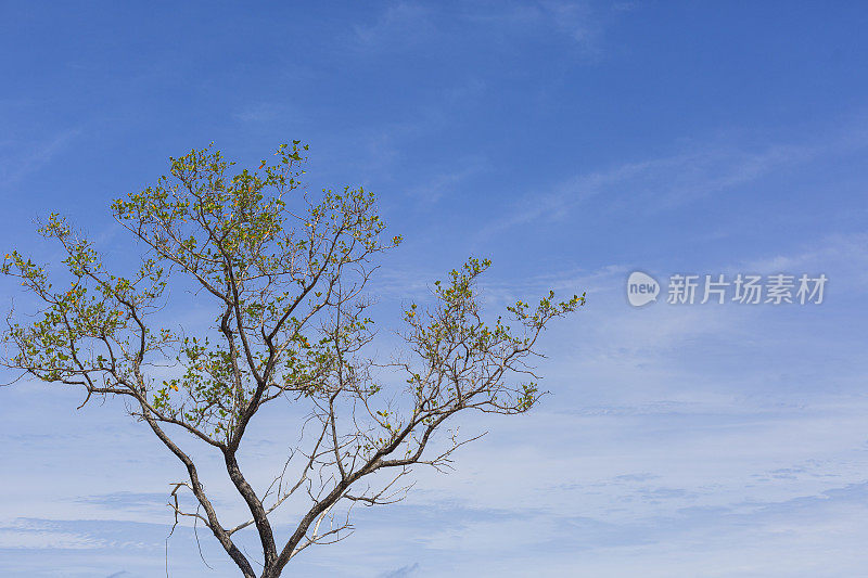 美丽的圣安德烈斯岛夏天的日出