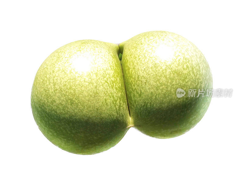 一张青苹果的照片，上面有一个被咬了一半的青苹果，还有一个被咬了一口的青苹果。
