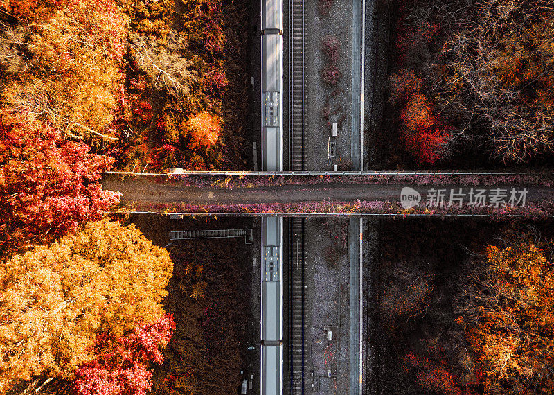 通勤火车在秋季森林景观中的鸟瞰图