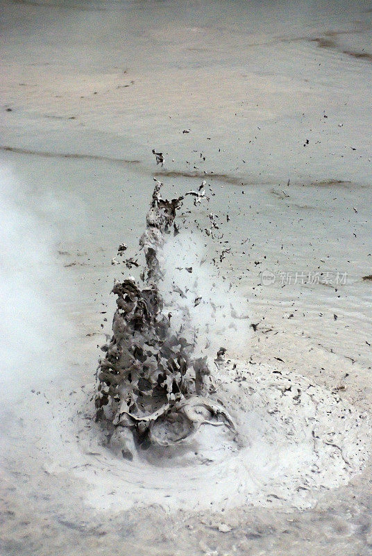 沸腾的泥池，罗托鲁瓦，新西兰