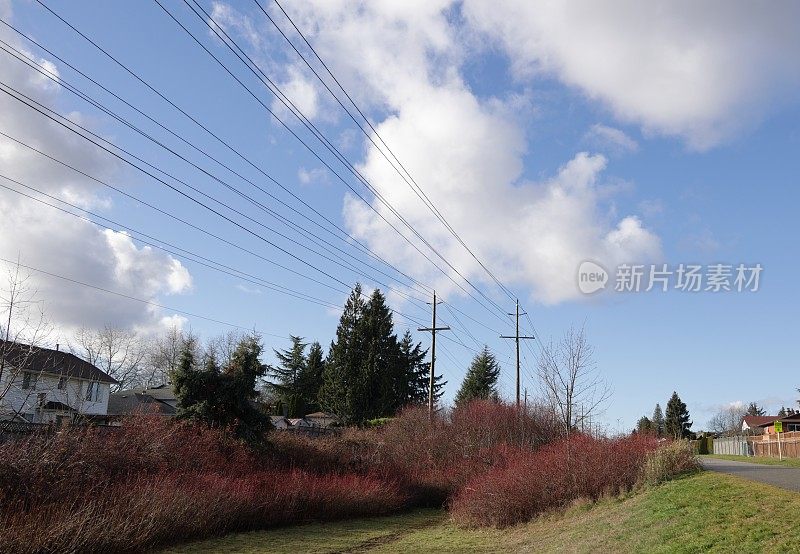 加拿大大温哥华地区电网上空的云层