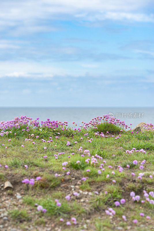 海节俭在海滨。