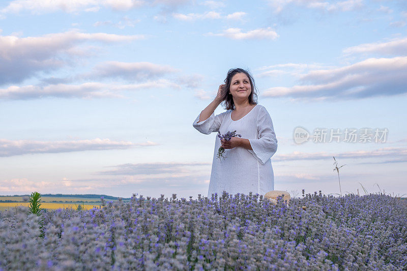 莱凡德田野的白衣女郎。