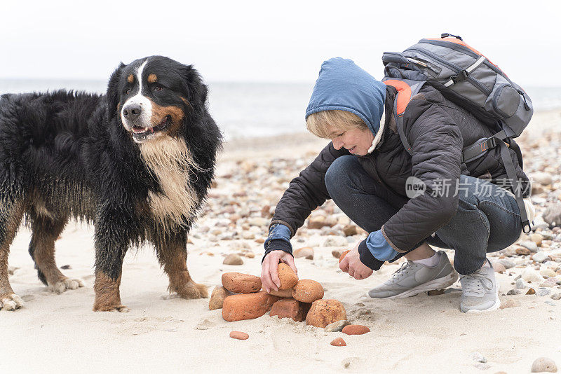 在波罗的海的海滩上，一个女人和一只伯尔尼山狗在玩石头。