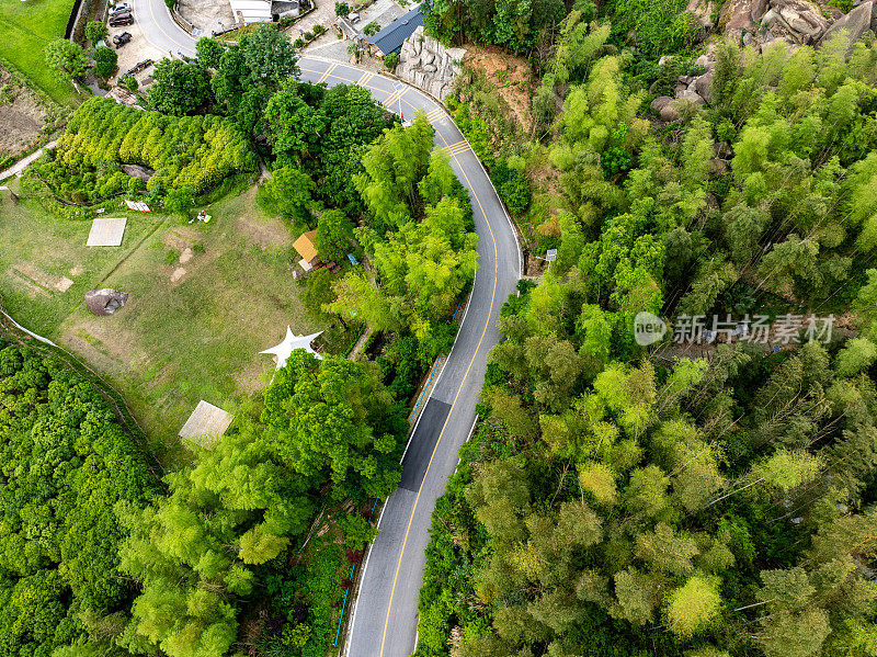 翠绿的竹林和蜿蜒的山路一览无余