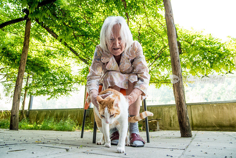 妇女和她的猫在户外