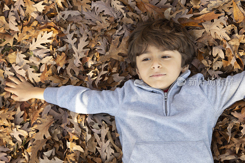 小男孩躺在树叶里