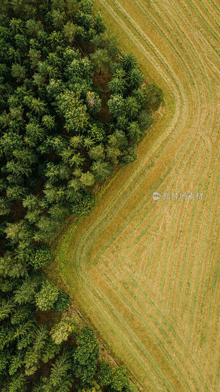 农田景观自然无人机拍摄的农田在收获