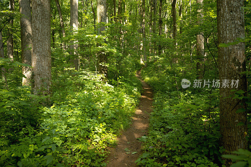 阿帕拉契山径