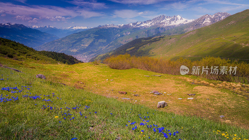 春天，在法国阿尔卑斯山附近的拉罗西埃尔，田园诗般的高山风景和野花