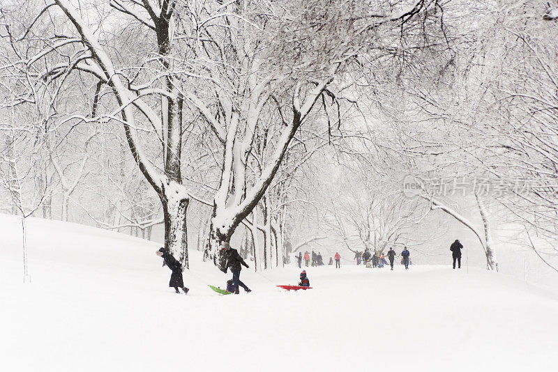 城市公园景观与不明身份的人在暴风雪。