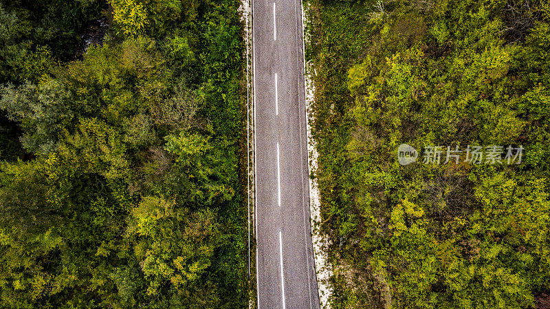 秋天的观点从上面-头顶上多彩的混合秋天森林空中背景，直接从上面