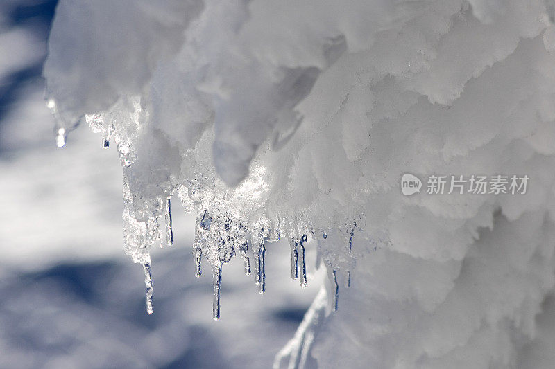 融化的雪