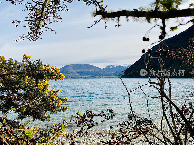 瓦卡蒂普湖景观-新西兰