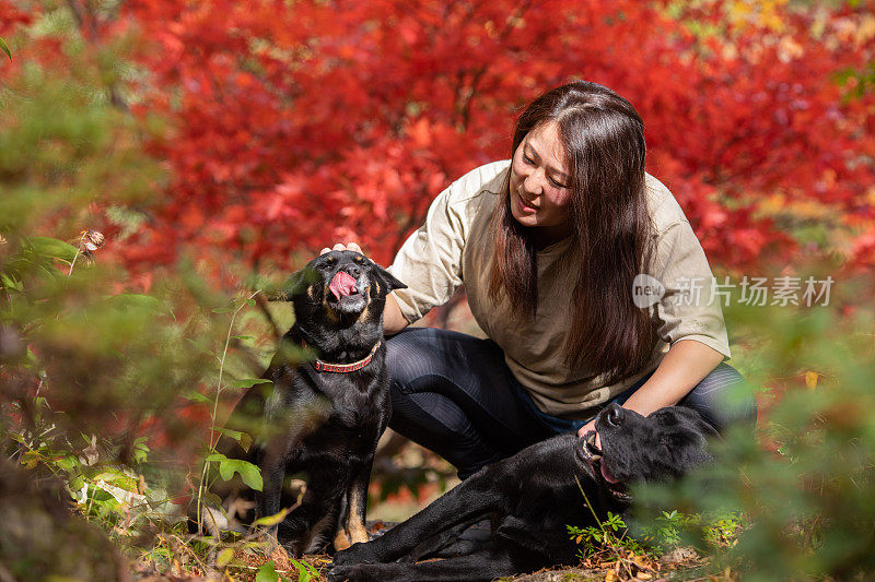 一个女人带着狗和五彩缤纷的秋天枫叶