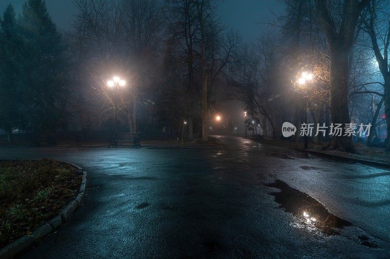 街灯雾蒙蒙的夜晚，灯柱灯笼城市道路。夜雾公园