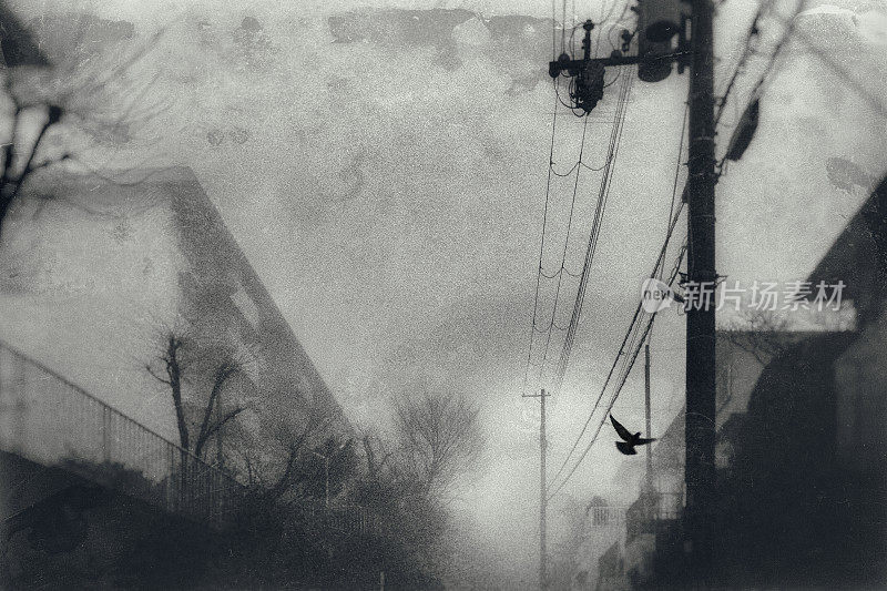乌鸦在雾蒙蒙的居民区之间飞翔，老照片的图像