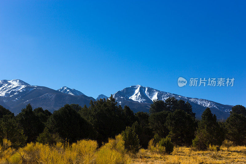 科罗拉多州四月:松树，黄土地，雪山